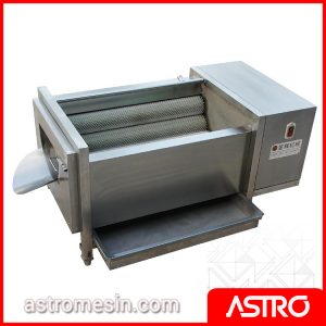 Fruit Washer & Peeler GETRA QX-608