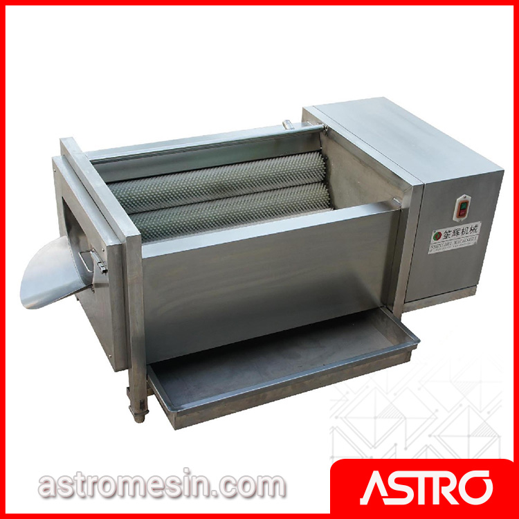 Fruit Washer & Peeler GETRA QX